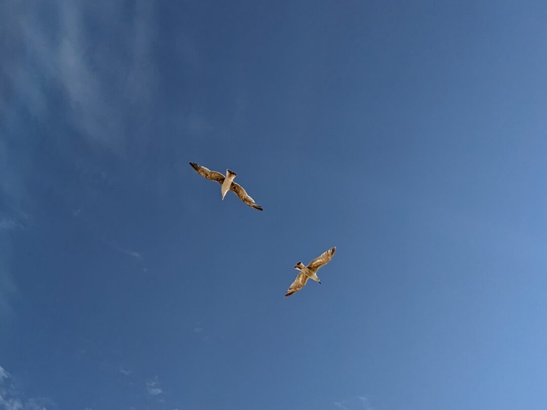 Foto: Katja Steputat